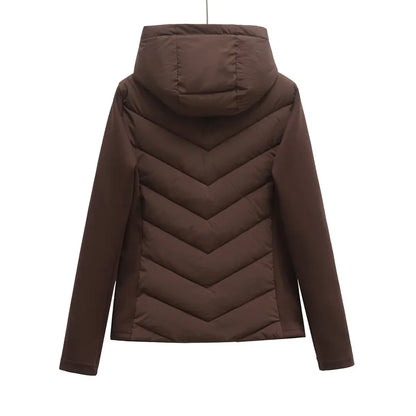 Chaqueta Cuello Alto
